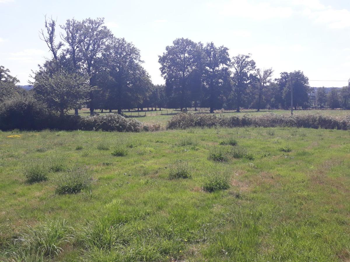 Les Hauts De Villeloubeix Saulgond Exterior foto